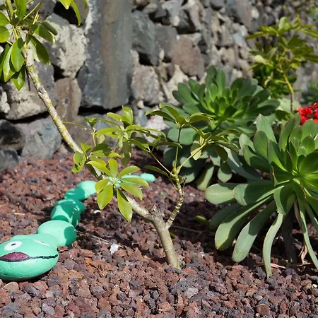 Masca With Garden 別荘